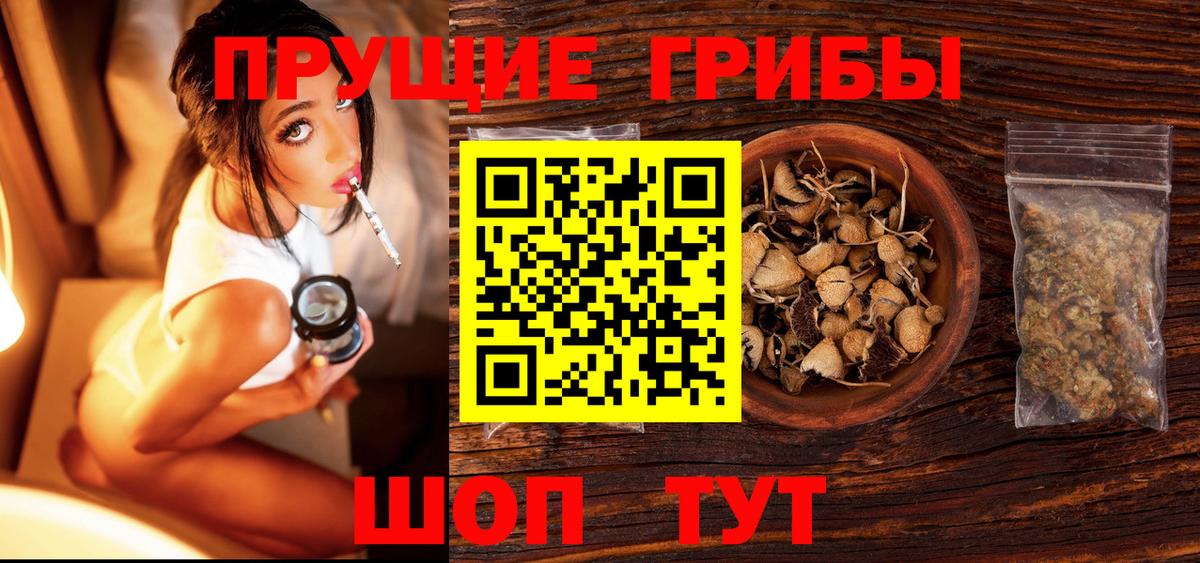 Карталы  Галлюциногенные грибы GOLDEN TEACHER  Псилоцибиновые грибы Psilocybe  Вход с VPN 
